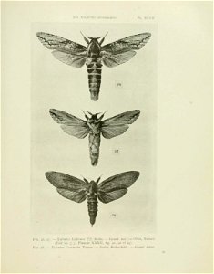 n120_w1150