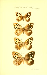 n258_w1150