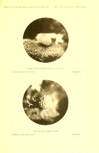 n228_w1150