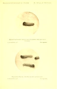 n198_w1150