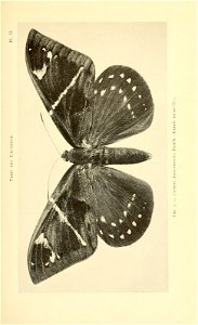 n150_w1150