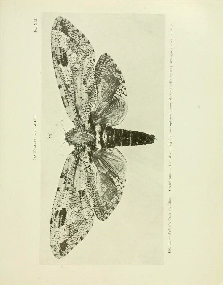 n148_w1150