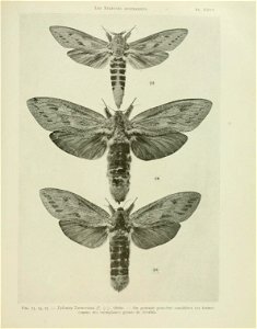 n118_w1150