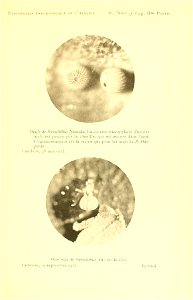n226_w1150