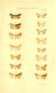n684_w1150