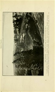 n210_w1150