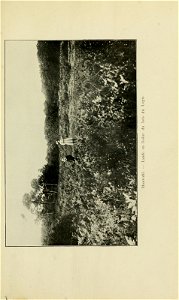n208_w1150