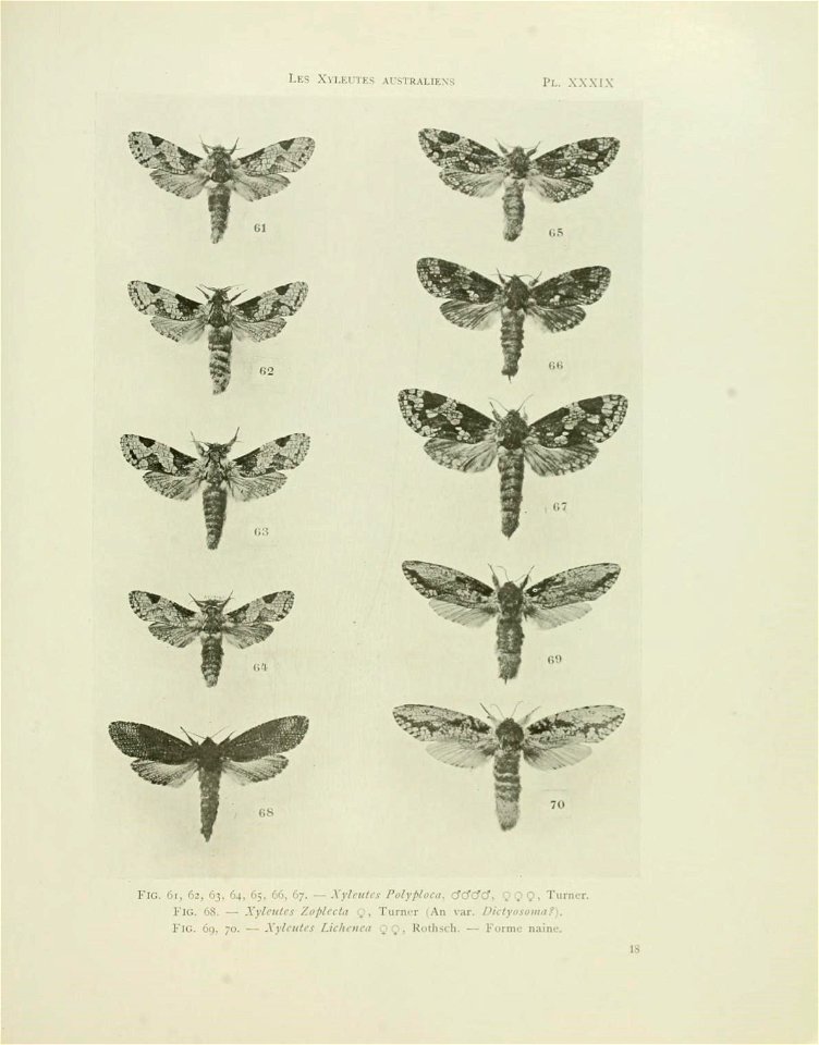 n144_w1150