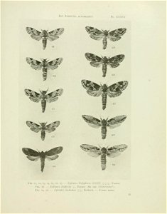 n144_w1150