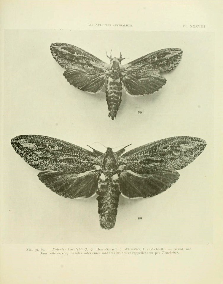 n142_w1150