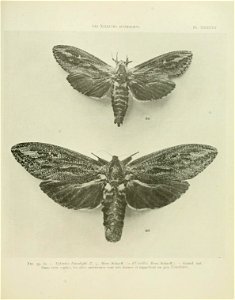 n142_w1150