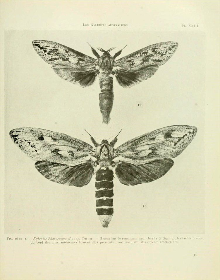 n112_w1150
