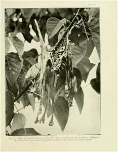 n54_w1150
