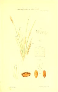 n310_w1150