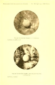 n220_w1150