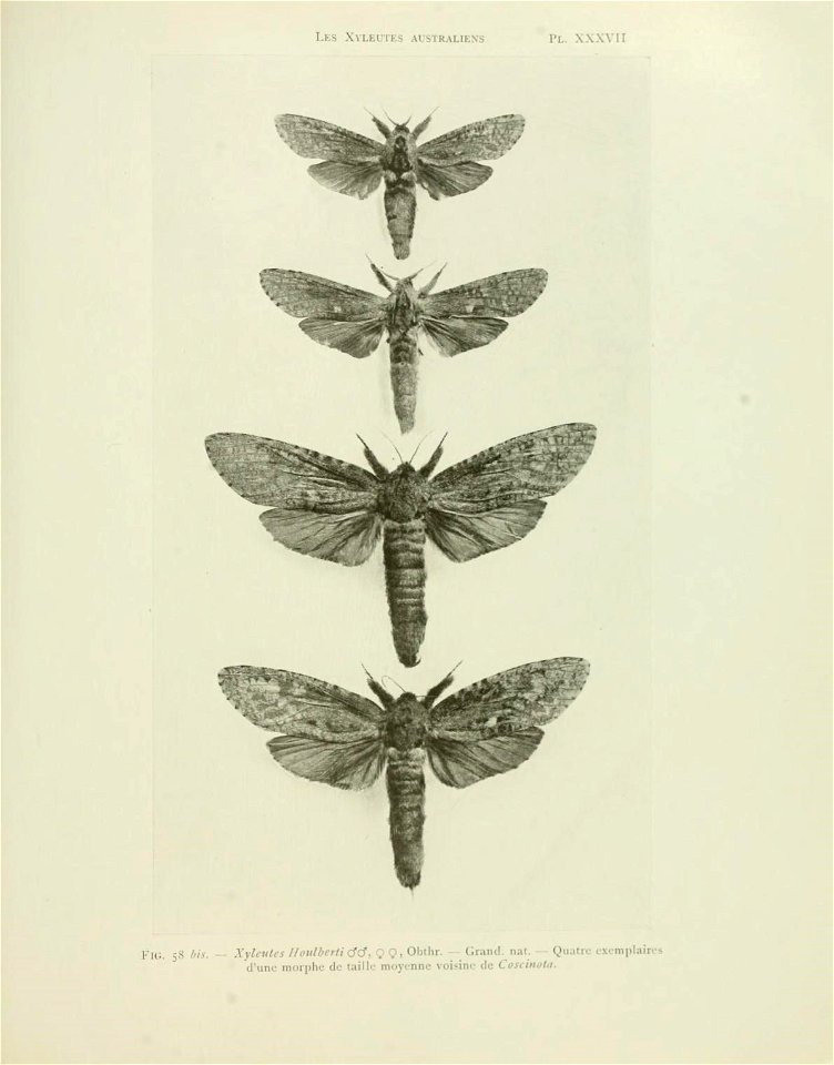 n140_w1150
