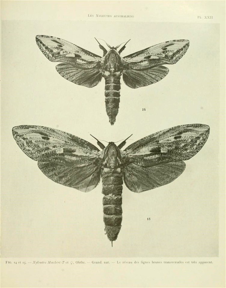 n110_w1150