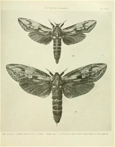 n110_w1150