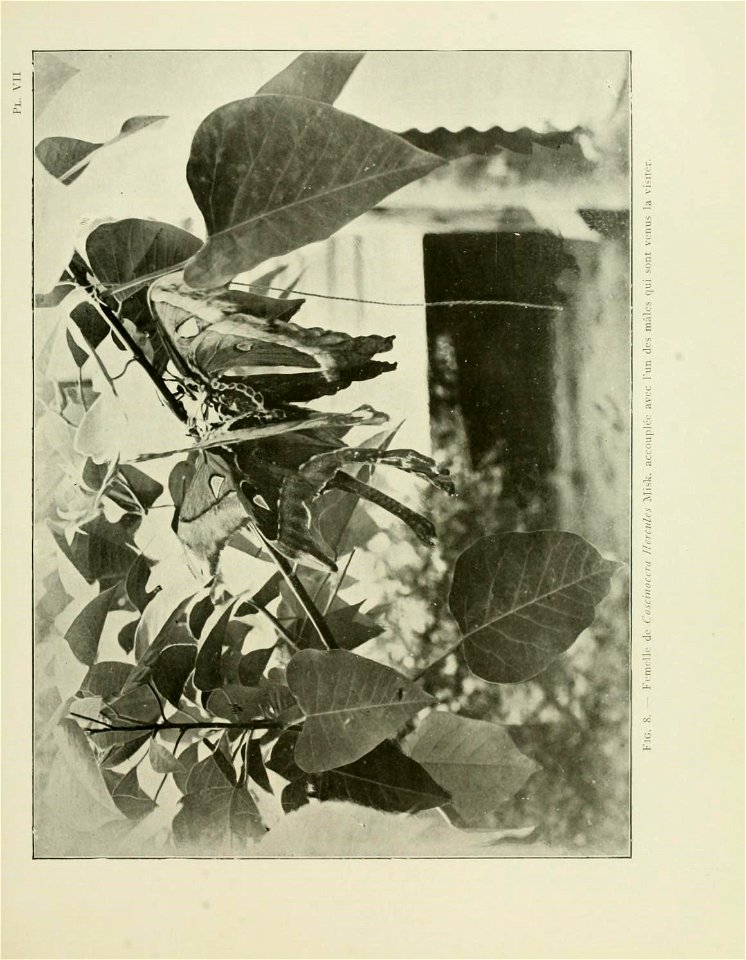 n52_w1150