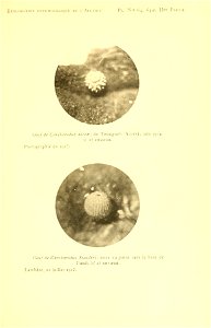n218_w1150