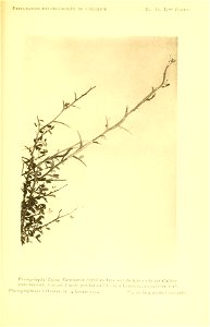 n188_w1150