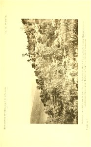 n98_w1150