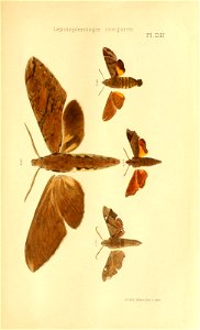 n676_w1150