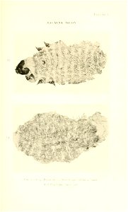 n402_w1150