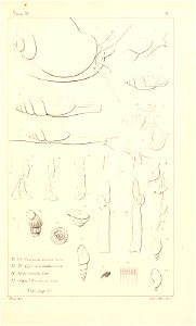 n462_w1150
