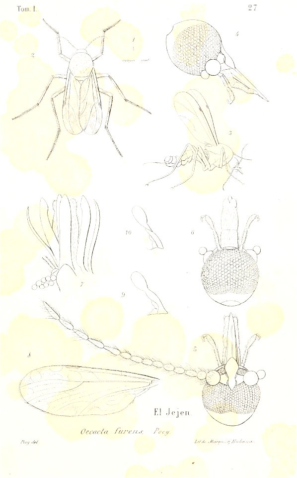 n522_w1150