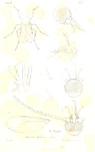 n522_w1150