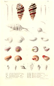 n492_w1150