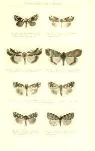 n546_w1150