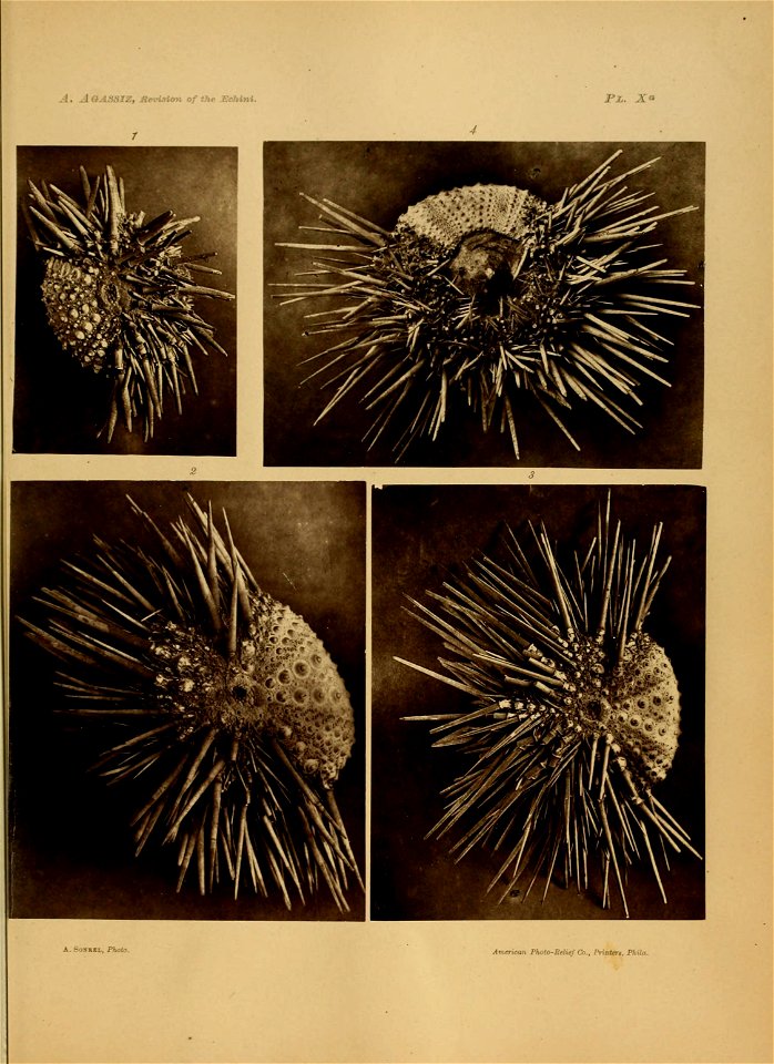 n166_w1150
