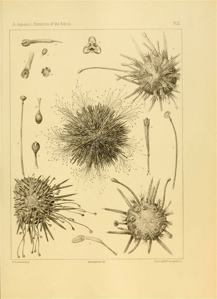 n162_w1150