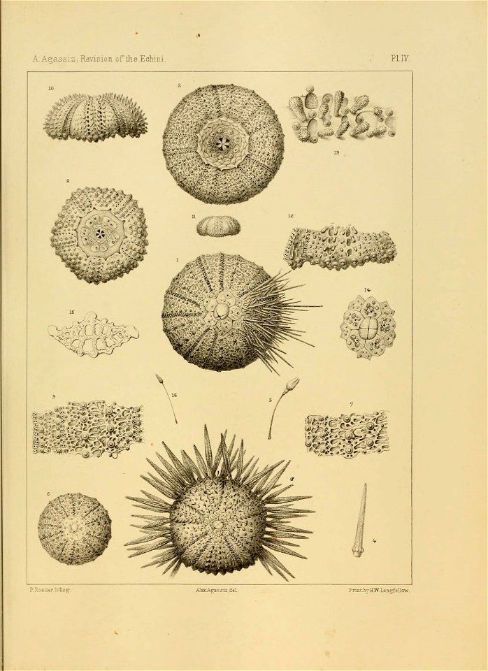 n102_w1150