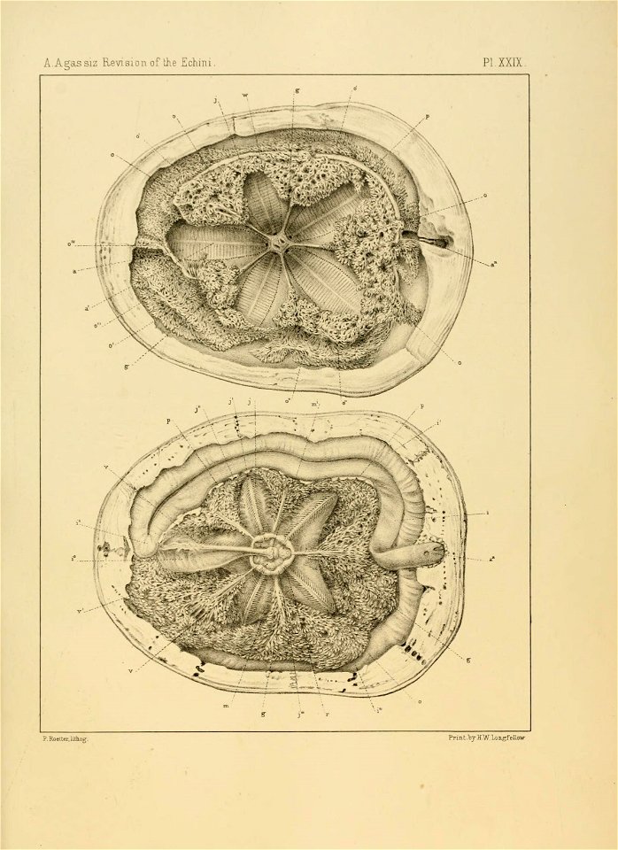 n342_w1150