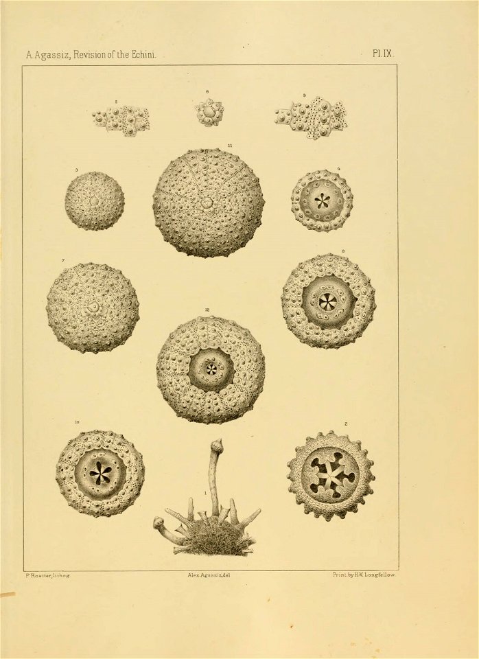 n158_w1150
