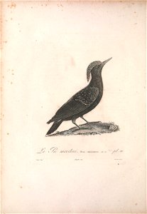 n179_w1150