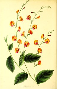 n159_w1150