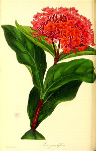 n121_w1150