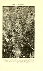 n724_w1150