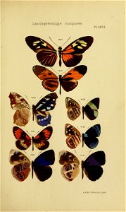 n158_w1150