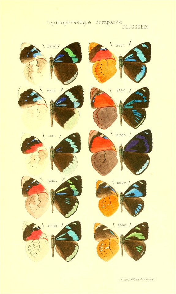 n498_w1150