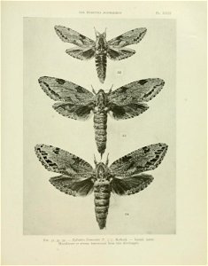 n124_w1150