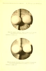 n230_w1150