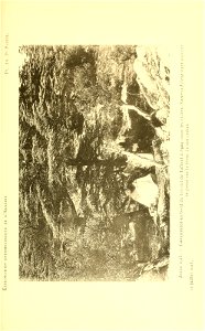 n110_w1150