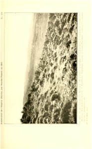 n278_w1150