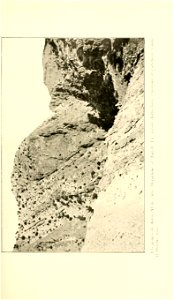 n248_w1150
