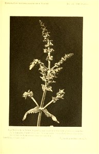 n168_w1150